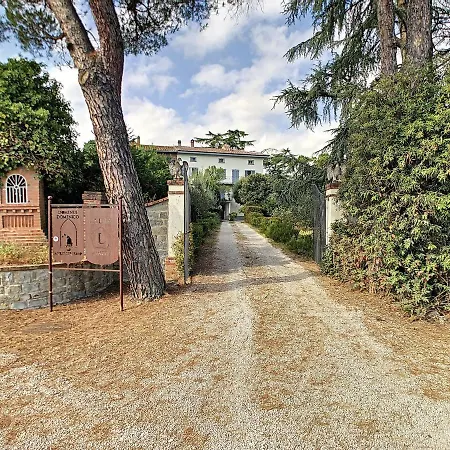 Dominus Domenico * Cortona