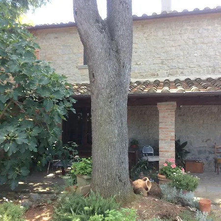 Dominus Domenico Alojamento de Turismo Rural *