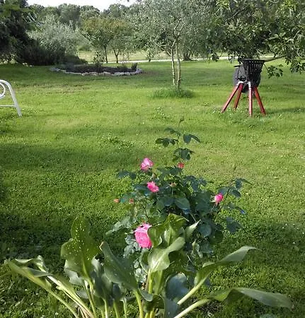 Alojamento de Turismo Rural Dominus Domenico